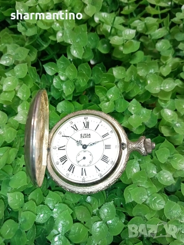 Clyda Paris 17 Jewels механичен , снимка 4 - Мъжки - 53387313