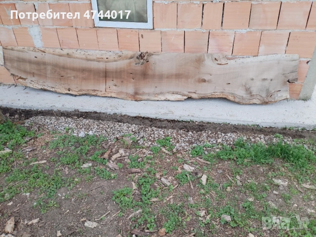 Сухи Талпи от Орех 