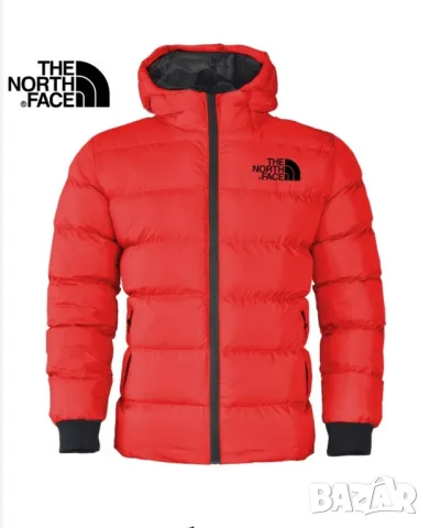 Зимно яке The North Face, снимка 1 - Якета - 48740737