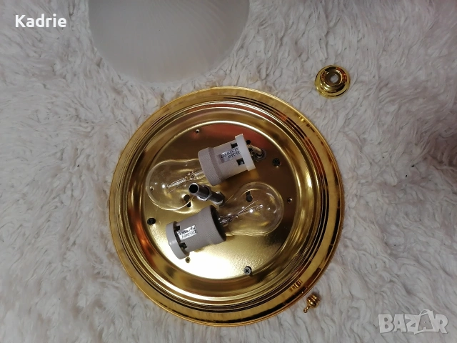 полилей , снимка 2 - Полилеи - 53067999