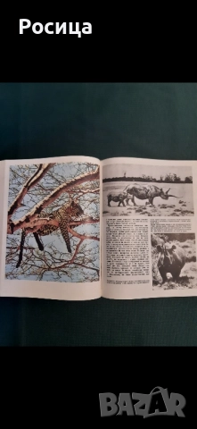 Африка на Лесли Браун от 1976 година, снимка 3 - Енциклопедии, справочници - 51776442