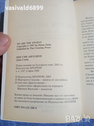 Даян Стейн - Ние сме ангелите , снимка 5 - Езотерика - 54173659
