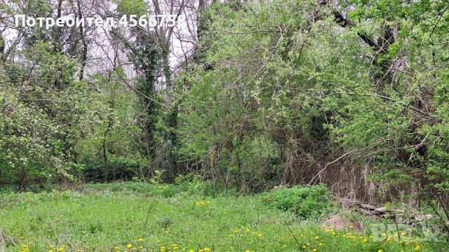 Двуетажна каща с. Буря, снимка 16 - Къщи - 51387876