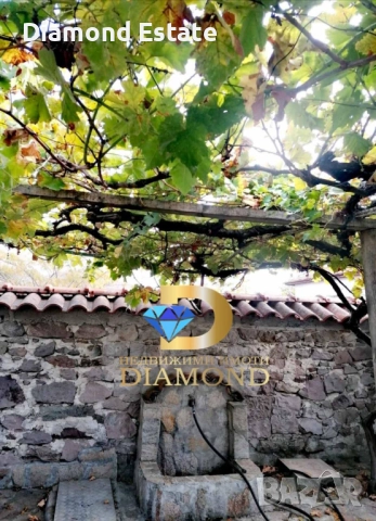 Едноетажна къща в село Сталево, общ. Димитровград, снимка 5 - Къщи - 52377925