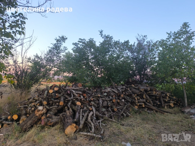 Дърва за огрев, снимка 6 - Дърва за огрев - 52809288