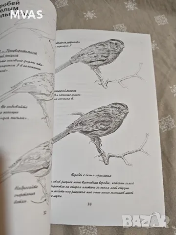 Рисуване с Молив Постъпково Книги за художници Учебници по рисуване, снимка 4 - Специализирана литература - 49935464