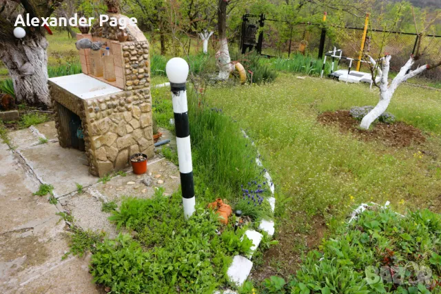 Вила с двор в гр. Русе, кв. Касева Чешма, Акациите, снимка 9 - Къщи - 50150490