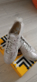 Дамски спортни обувки, снимка 1 - Маратонки - 45035853