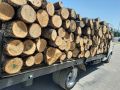 предлагам дърва за огрев дъб и бук , снимка 1 - Дърва за огрев - 45733609