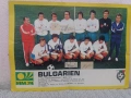 Снимка /плакат/ на националния отбор по футбол на България. , снимка 1