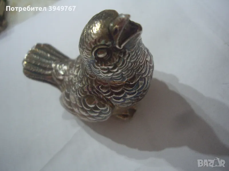 Интересно птиче., снимка 1