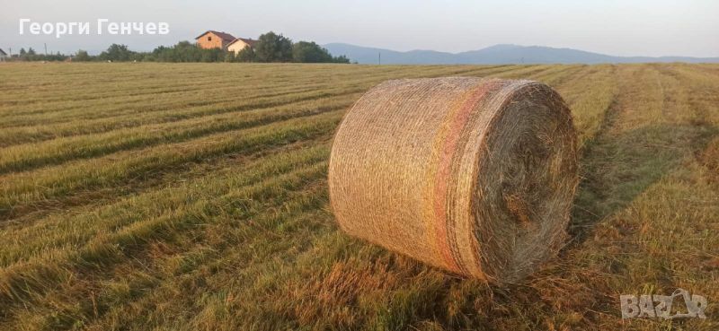 Продавам Рулонни Бали Сено, село Ковачевци (Самоковско), снимка 1