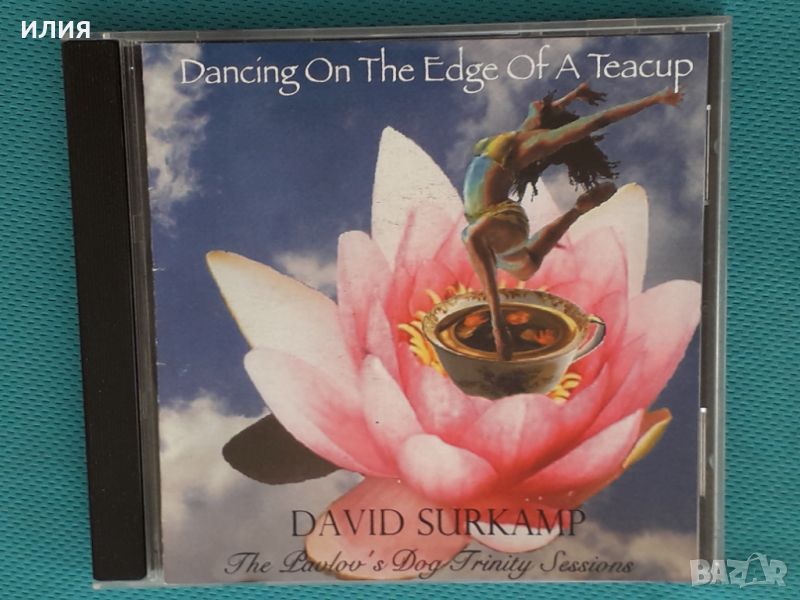 David Surkamp(Pavlov's Dog) – 2007 - Dancing On The Edge Of A Teacup: The Pavlov's Dog Trinity Sessi, снимка 1