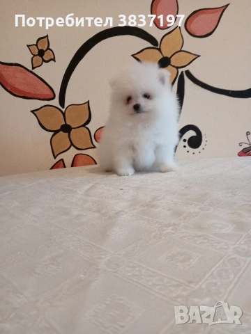 2 момичета и 2 момчета 