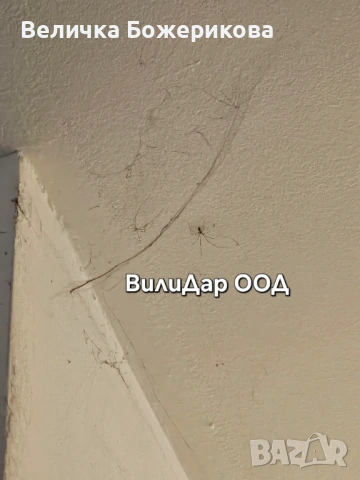 Почистване на входове , снимка 14 - Почистване на входове - 53657136