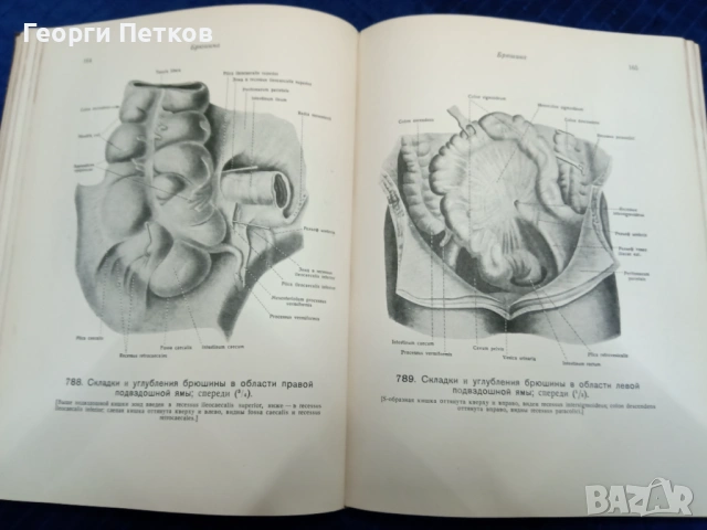 Атлас анатомии человека., снимка 6 - Специализирана литература - 53069358