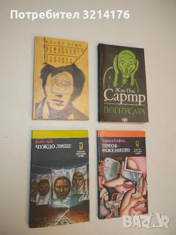 Спасителят в ръжта - Джеръм Селинджър, снимка 2 - Художествена литература - 50045390