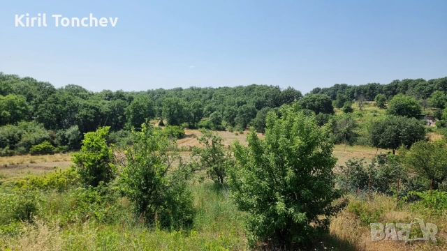 Продавам Парцел във местност Габера -Димитровград ТАЗИ ОБЯВА Е ПУБЛИКУВАНА ОТ СОБСТВЕНИКА НЕ ОТ АГЕН, снимка 5 - Парцели - 52122910