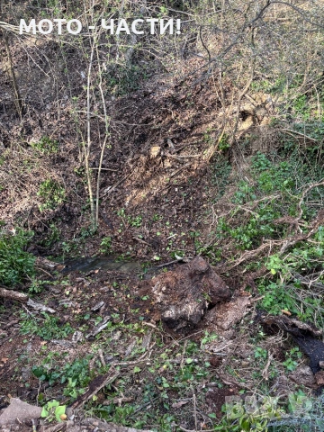 Косене на трева | Рязане на дървета | Почистване | Извозване., снимка 7 - Други почистващи услуги - 54129586