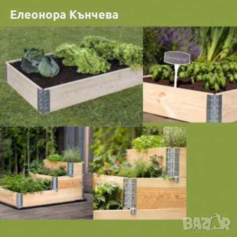 Градинска леха, снимка 1