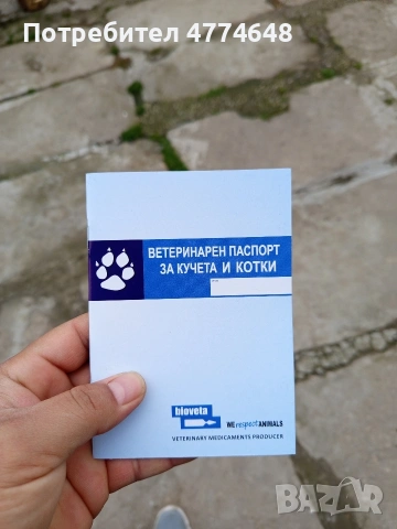 Кане корсо, снимка 13 - Кане корсо - 53966614