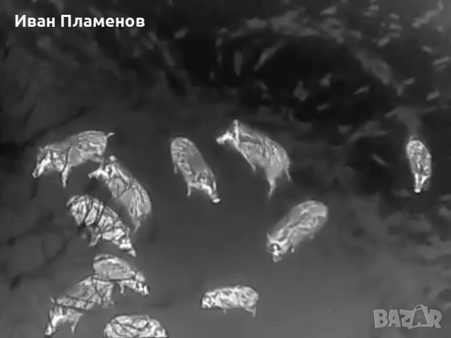 Услуги с термален термо дрон за нощно виждане ФЕЦ SAR Издирване на Хора Засичане Спасяване, снимка 4 - Други услуги - 53813380