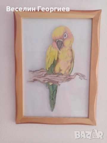 Картина с графитни и цветни моливи "LORO"