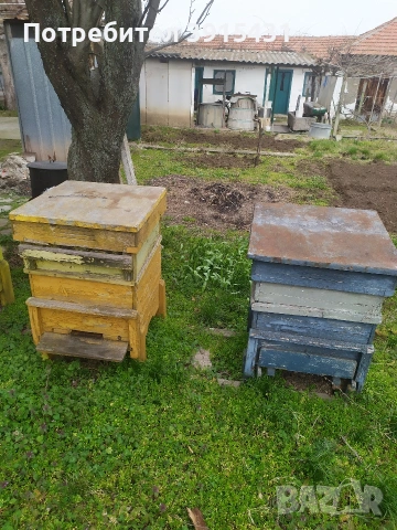 Пчелни кошери