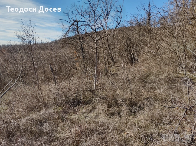 Продавам земеделска земя , снимка 10 - Земеделска земя - 53243811