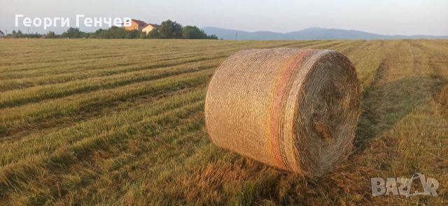 Продавам Рулонни Бали Сено, село Ковачевци (Самоковско), снимка 1 - За селскостопански - 46504556