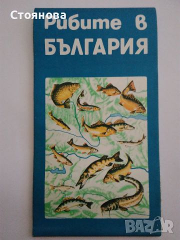 Карти "Рибите в България" и "България защитени природни обекти" , снимка 2 - Енциклопедии, справочници - 45190986