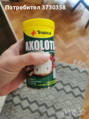 Храна за аксолотъл амбистом , снимка 1