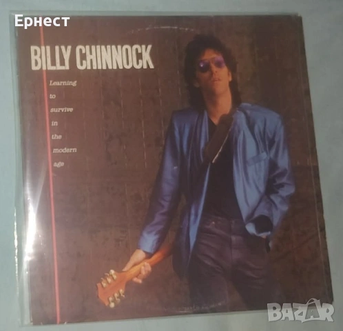 Грамофонни плочи мелодик рок AOR, снимка 13 - Грамофонни плочи - 32745160