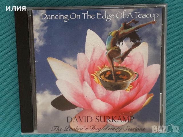 David Surkamp(Pavlov's Dog) – 2007 - Dancing On The Edge Of A Teacup: The Pavlov's Dog Trinity Sessi, снимка 1 - CD дискове - 42703577