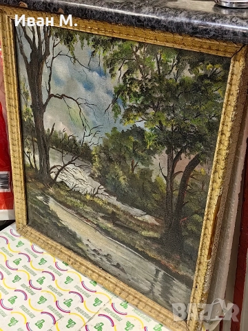 Стара маслена картина върху платно , снимка 3 - Картини - 52986977
