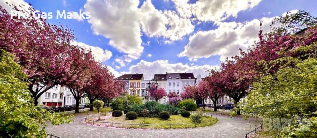 СПЕШНО Сграда 5 апартамента Германия Крефелд 350 кв м само за 350 000 евро. Цената е само до края на, снимка 4 - Други - 51888201