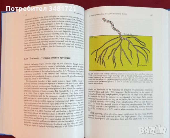 Генетика - справочник, проучвания, правна уредба [3 книги], снимка 11 - Специализирана литература - 46320119