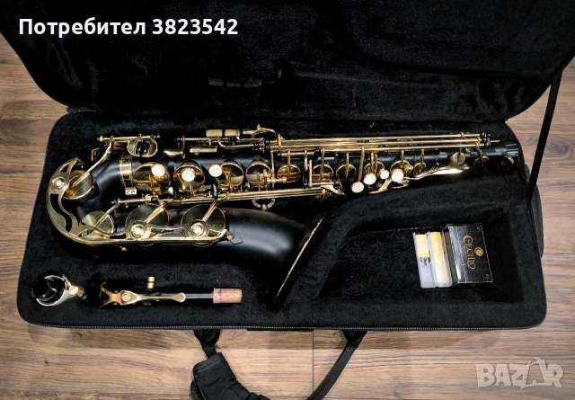 Алт саксофон "Cecilio" , снимка 3 - Духови инструменти - 53231706