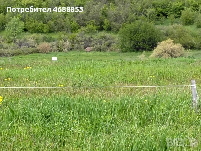 Земеделска земя гр. Дебелец, снимка 12 - Парцели - 54292349