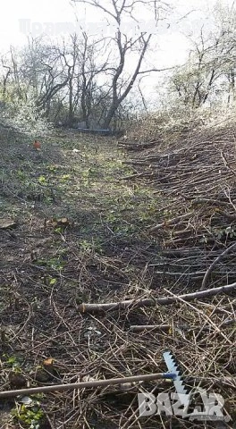 почистване на запустели парцели www.parkserviz.bg, снимка 3 - Други почистващи услуги - 54095036