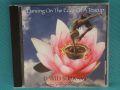 David Surkamp(Pavlov's Dog) – 2007 - Dancing On The Edge Of A Teacup: The Pavlov's Dog Trinity Sessi, снимка 1