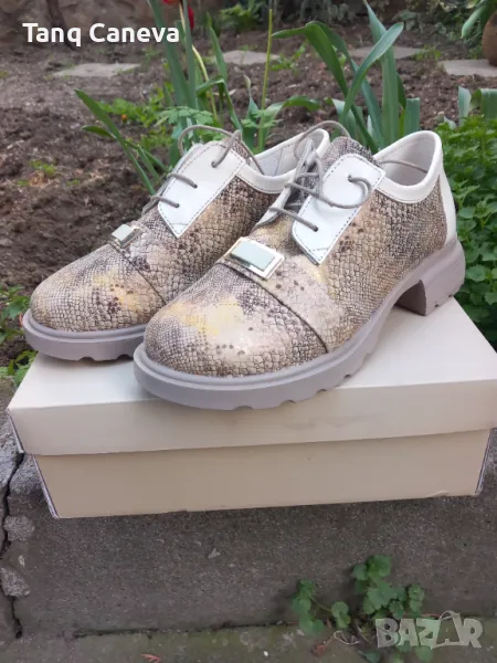 Дамски обувки Сантонели , снимка 1