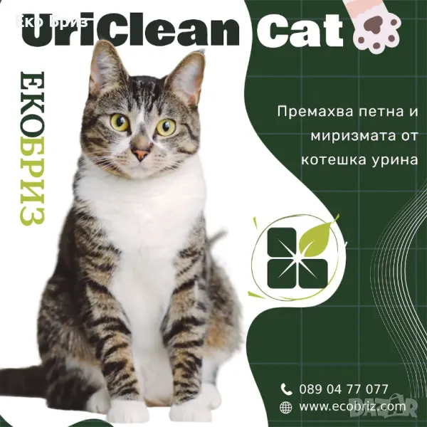 Uriclean Cat: ензимен препарат за котешка урина и петна, снимка 1