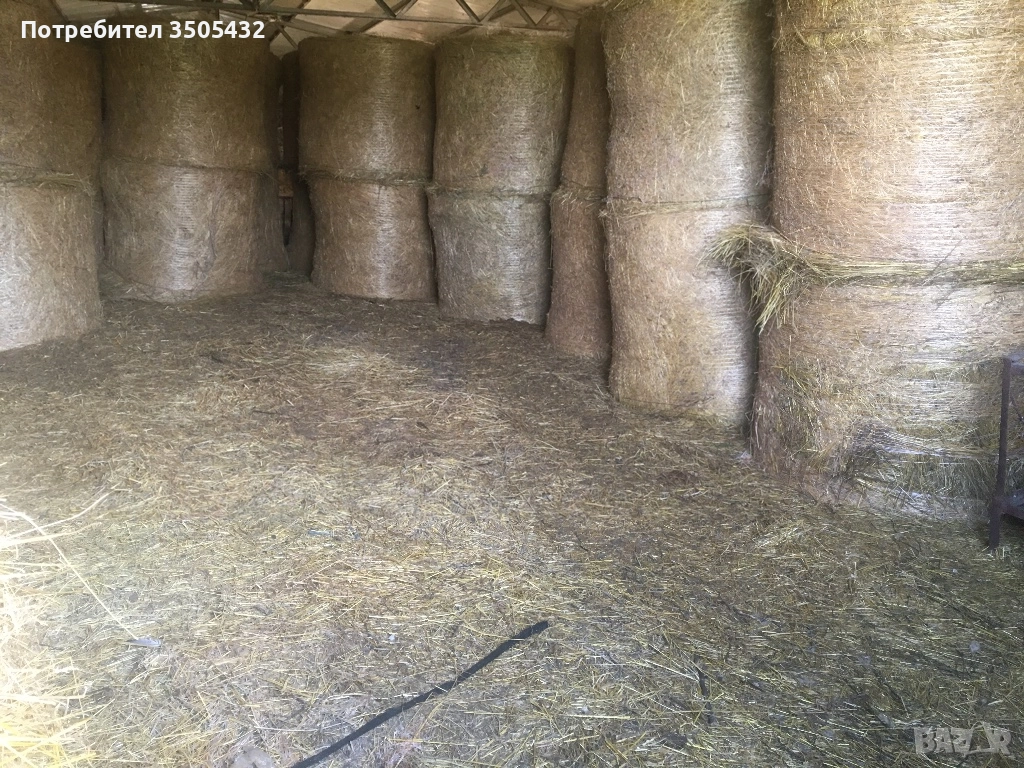 Бали сено, снимка 1