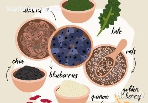 предлагам работа