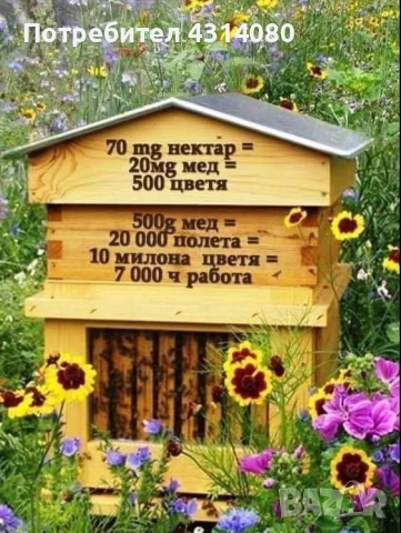 Натурален пчелен мед!!!!, снимка 2 - Пчелни продукти - 51655444