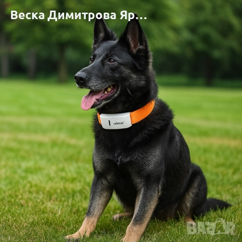 Тракер за домашен любимец - GPS локатор, снимка 5 - Други стоки за дома - 51705426