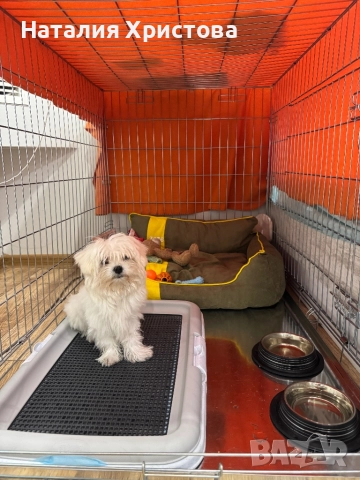 Клетка за куче, снимка 2 - За кучета - 52446144