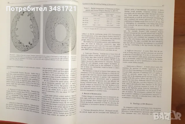 Професионален справочник - остеопороза / Osteoporosis, volume 2, снимка 6 - Специализирана литература - 46826159