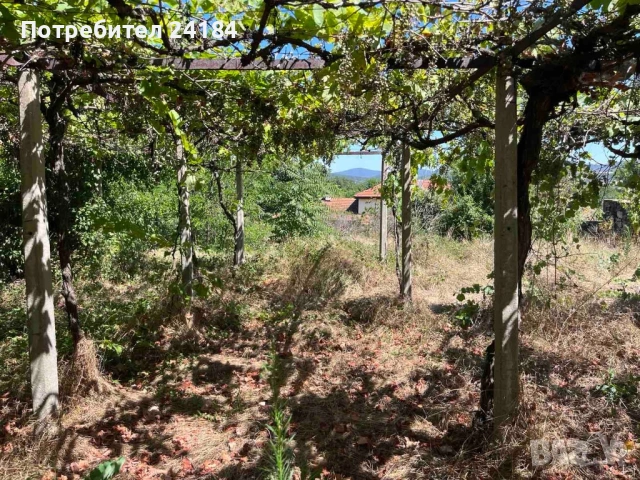 Продавам стара къща с двор в с.Близнец, снимка 4 - Къщи - 53810360